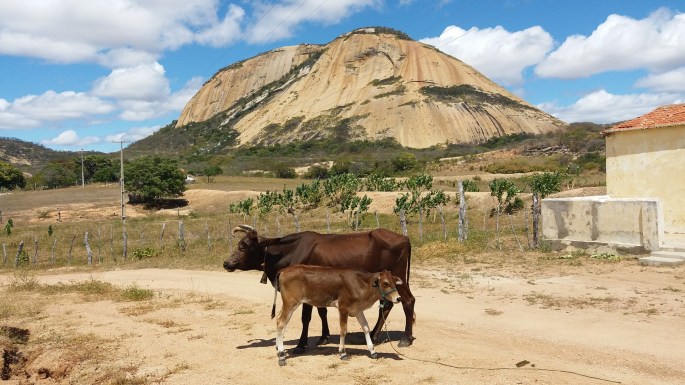 20170823_104858 (Cópia)