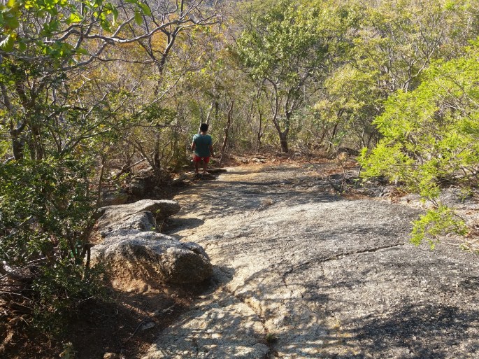 20170825_062721 (Cópia)