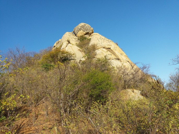 20170825_063620 (Cópia)